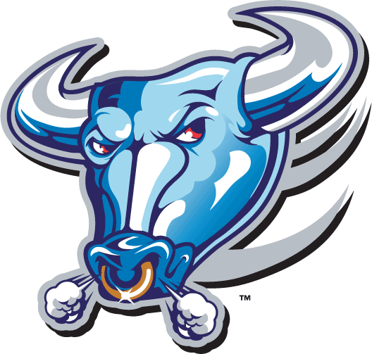 Buffalo Bulls 1997-2006 Alternate Logo t shirts DIY iron ons